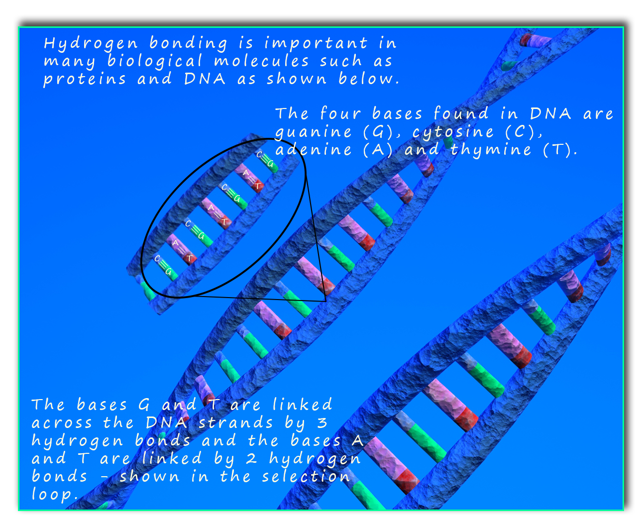 hydrogen-bonding